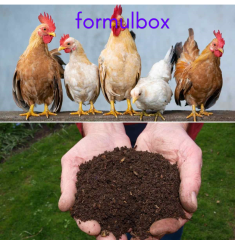 Organomineral Toz Tavuk Gübresi 5-0-0 + 2 CaO Formülasyonu