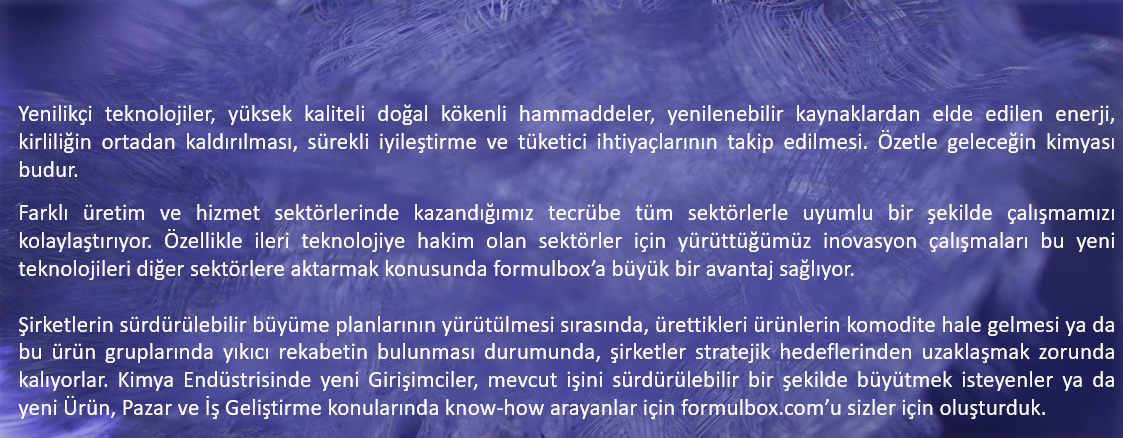 Girişimci Dostu formulbox.com